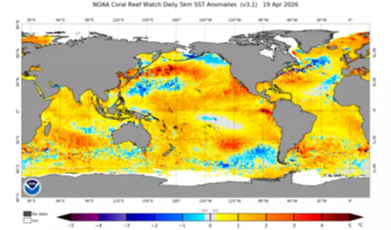 El Niño se aproxima: Pacífico atinge limiar de aquecimento, mas fenômeno ainda não é declarado