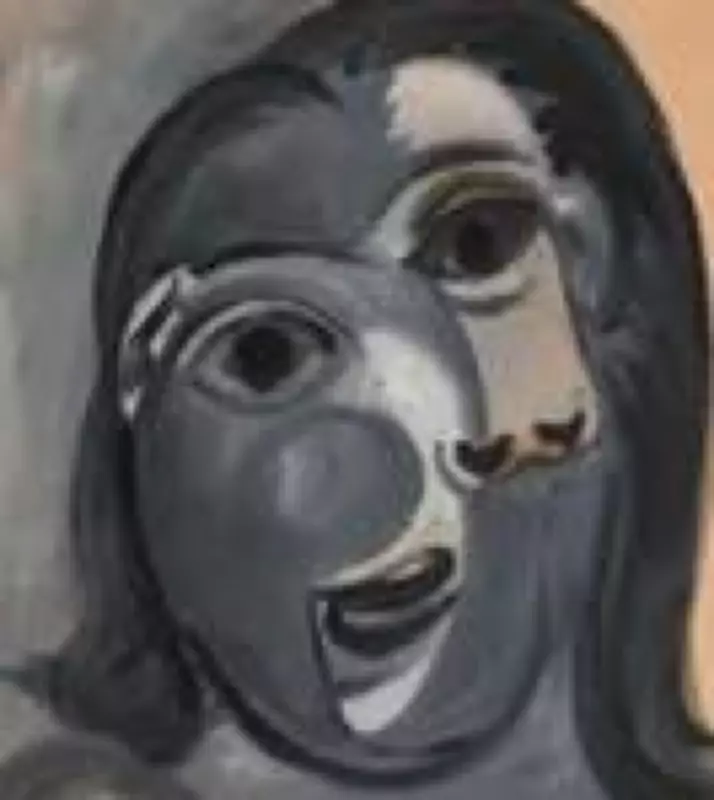 Engenheiro francês ganha Picasso avaliado em 1 milhão de euros em rifa beneficente