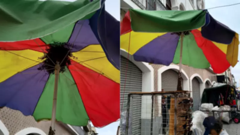 Enxame de Abelhas Isola Trecho da Rua Grande no Centro de São Luís