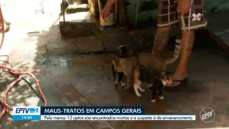 EPTV 2 Sul de Minas: Confira os destaques da edição de terça-feira, 7 de abril de 2026