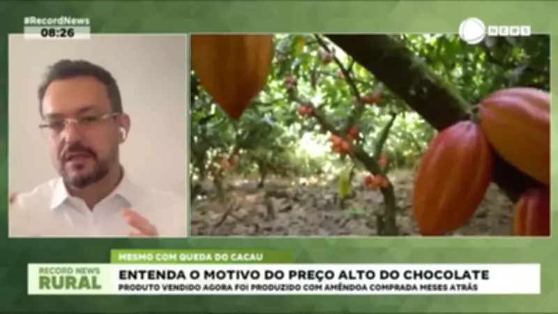 Especialista explica por que o chocolate segue caro mesmo com queda do cacau
