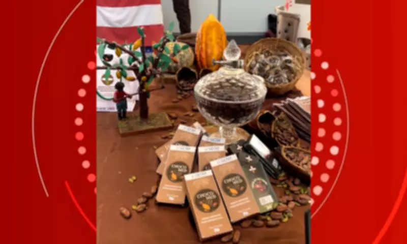 Estudantes baianos criam chocolate especial para diabéticos tipo 2 com ingredientes de baixo índice glicêmico