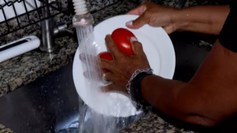 Estudo da USP alerta: brasileiros cometem erros graves na higiene de alimentos