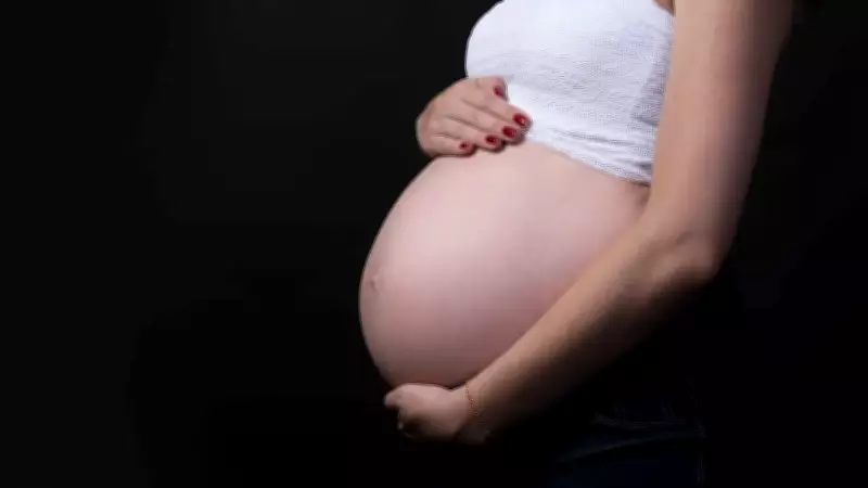 Estudo revela que 1 em cada 5 gestantes abandona pré-natal no Brasil