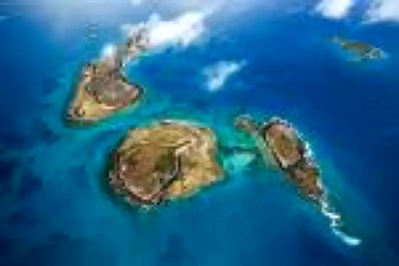Estudo revela que conservação de Abrolhos gera R$ 1,9 bilhão e 100 mil empregos