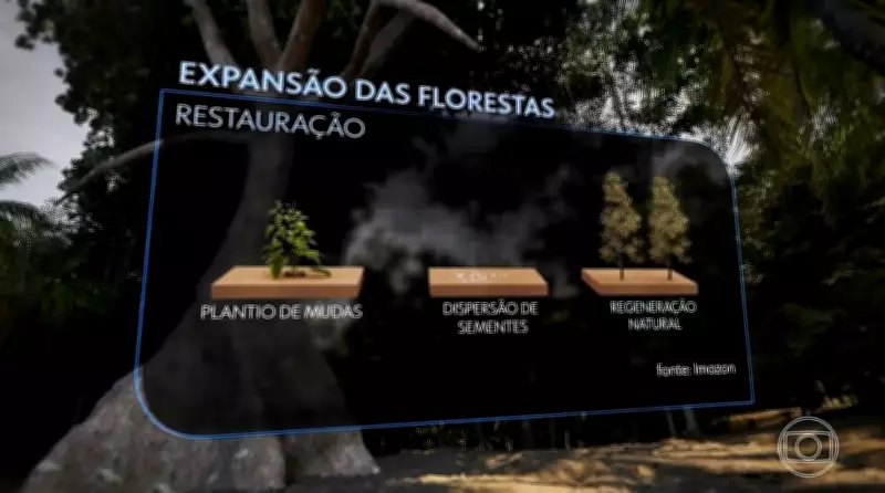 Estudos apontam medidas simples para preservar biomas brasileiros e reverter desmatamento