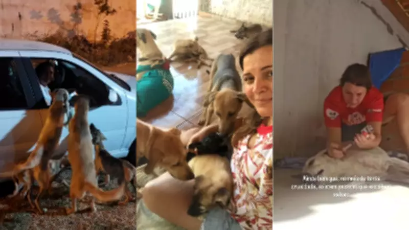 Ex-enfermeira abandona carreira para resgatar 200 animais e fundar ONG no Piauí