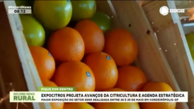 Expocitros 2026: Maior evento da citricultura projeta avanços do setor em Cordeirópolis