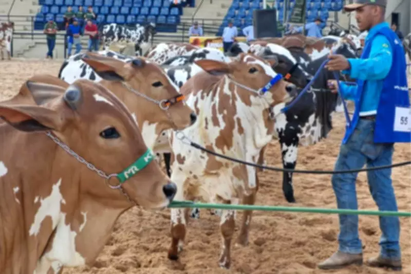 Expogrande 2026 inicia em Campo Grande com foco no futuro do agronegócio e inclusão