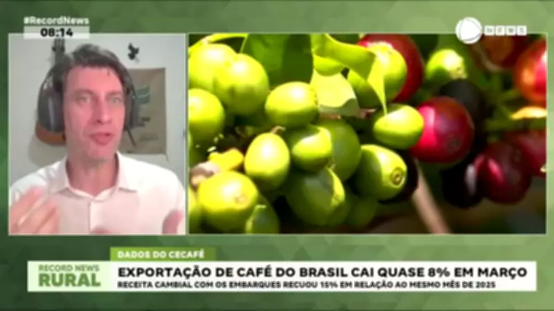 Exportações de café do Brasil caem quase 8% em março de 2026
