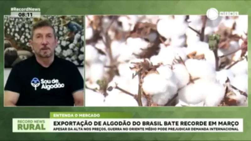 Exportação de algodão do Brasil atinge recorde histórico em março de 2026