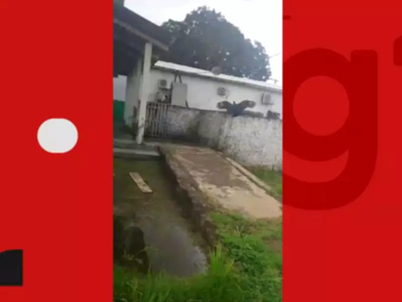 Família denuncia abandono de corpo de jovem em hospital do Acre com urubus no local