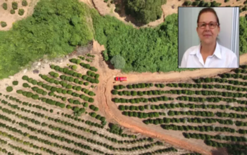 Farmacêutica encontrada morta em MG não sofreu violência, diz polícia