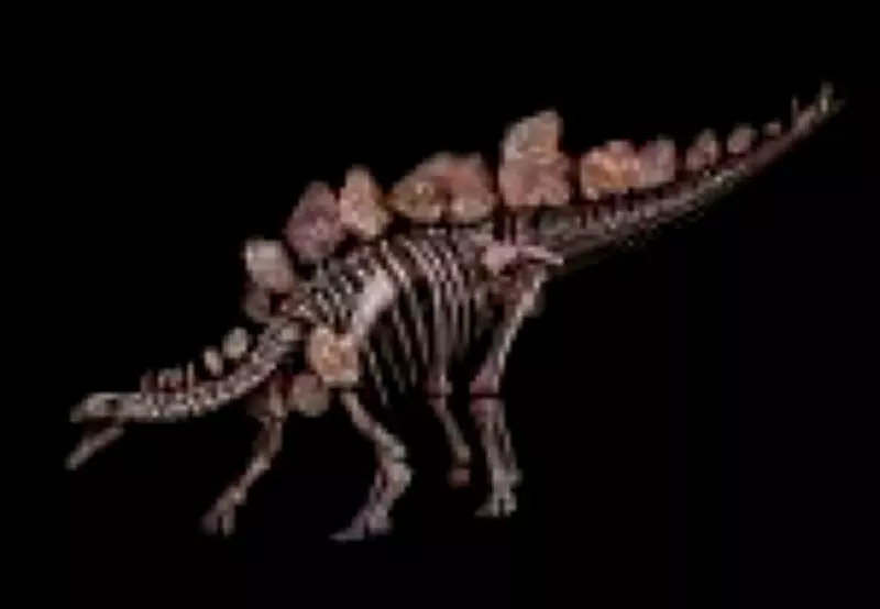 Fascínio por dinossauros: novo livro revela mistério que encanta crianças e adultos