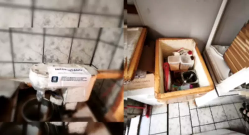 Fábrica clandestina de sorvetes com produtos vencidos é interditada novamente em SC