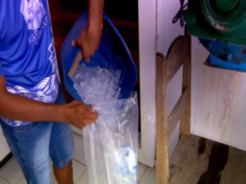 Fábrica de gelo solar no Amazonas beneficia 400 pescadores e impulsiona bioeconomia