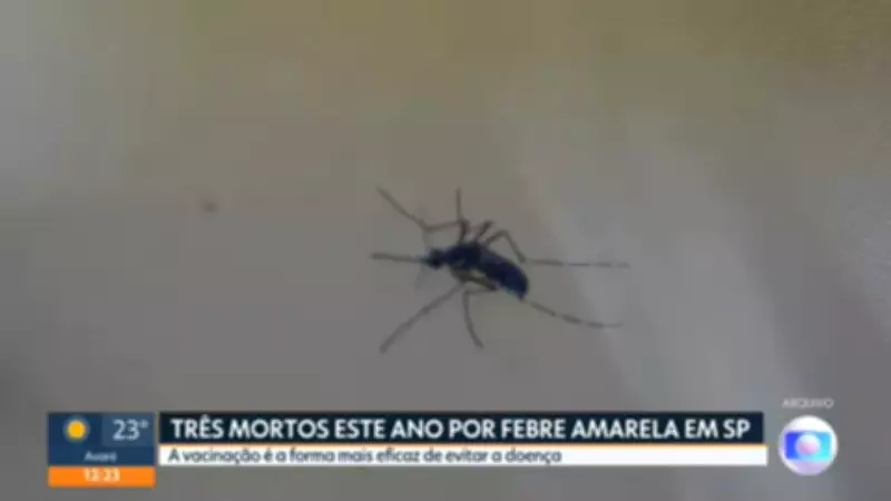 Febre amarela: três mortes em SP; governo convoca vacinação