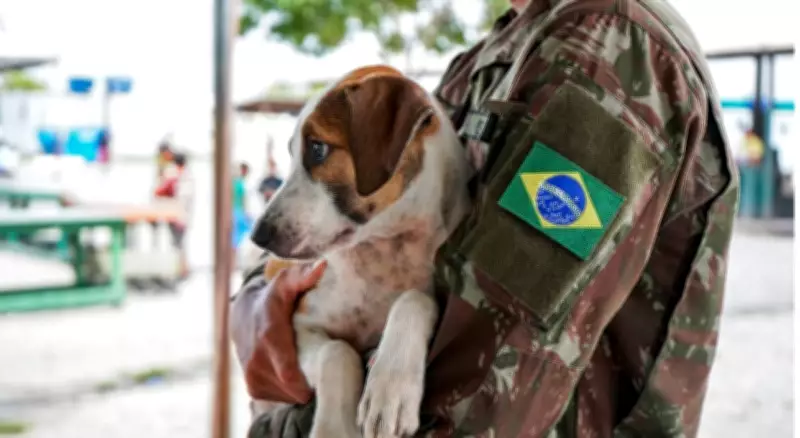 Feira de adoção pet em Boa Vista une solidariedade e responsabilidade social neste sábado