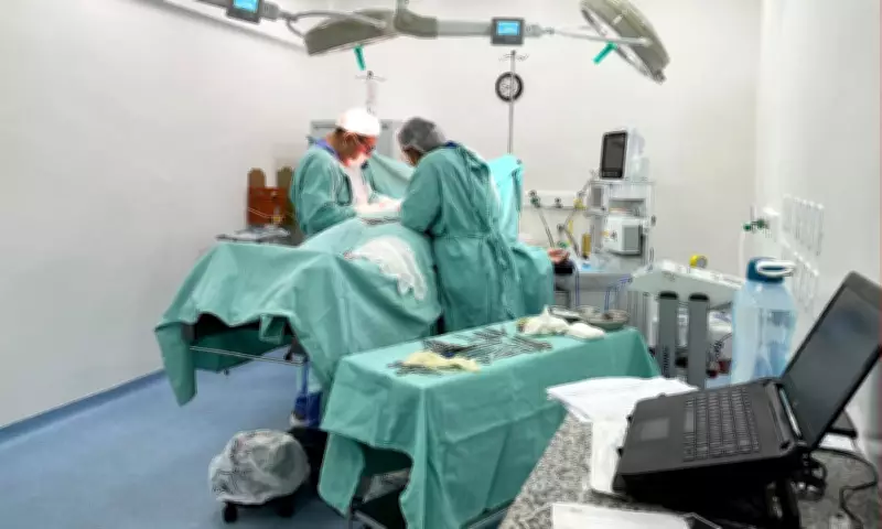 Feira de Santana divulga lista de 63 mulheres para nova etapa de cirurgias de gigantomastia