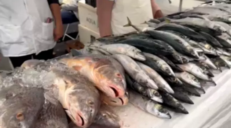 Feira do Pescado de Petrópolis atrai consumidores com mais de 20 toneladas de peixe fresco