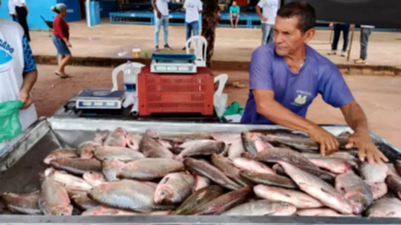Feira do Pescado em Santarém oferece variedade de peixes a preços acessíveis para Semana Santa