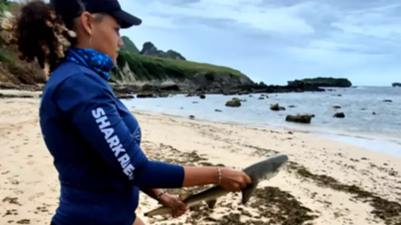 Fernando de Noronha oferece cursos gratuitos para incentivar mulheres na ciência marinha
