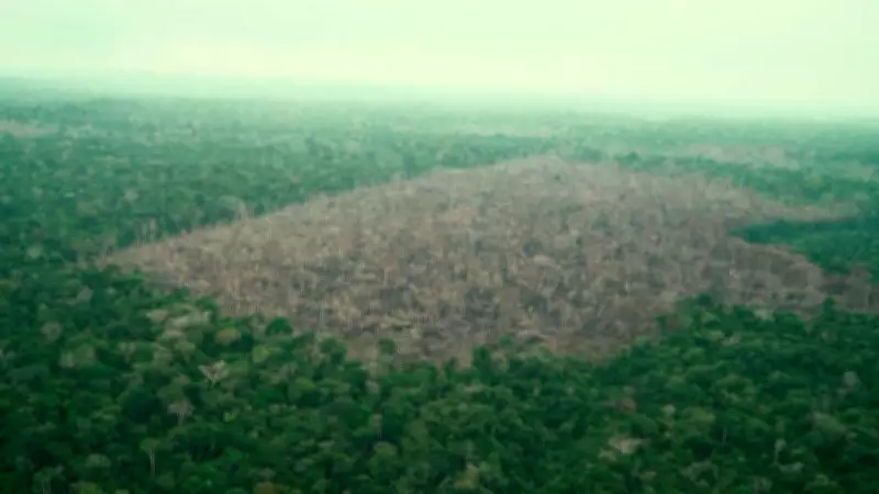 Financiamento rural agora exige análise ambiental via satélite, determina CMN