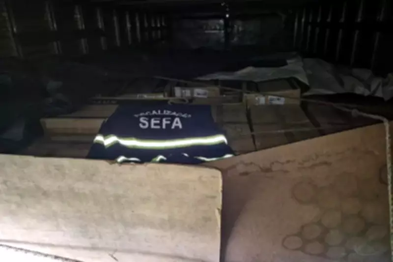 Fiscais apreendem materiais elétricos avaliados em R$ 298 mil no Pará por falta de pagamento de imposto
