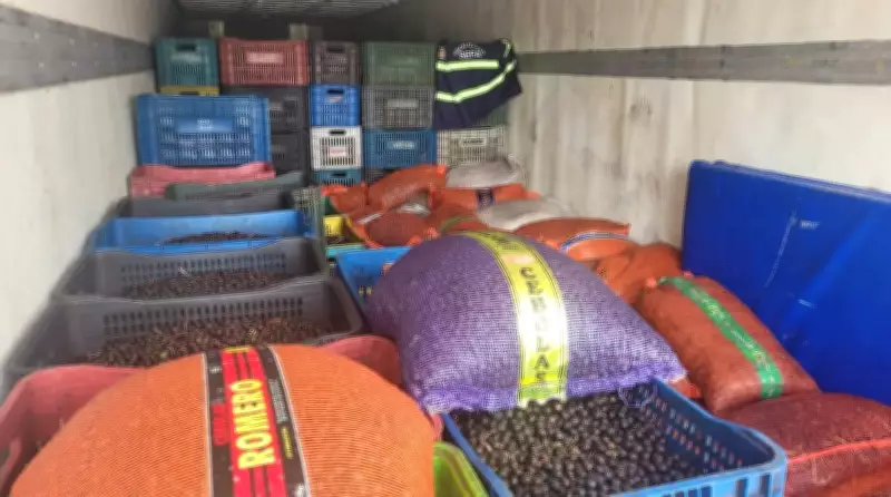 Fiscalização no Pará apreende mais de 43 toneladas de açaí e 63 mil litros de diesel