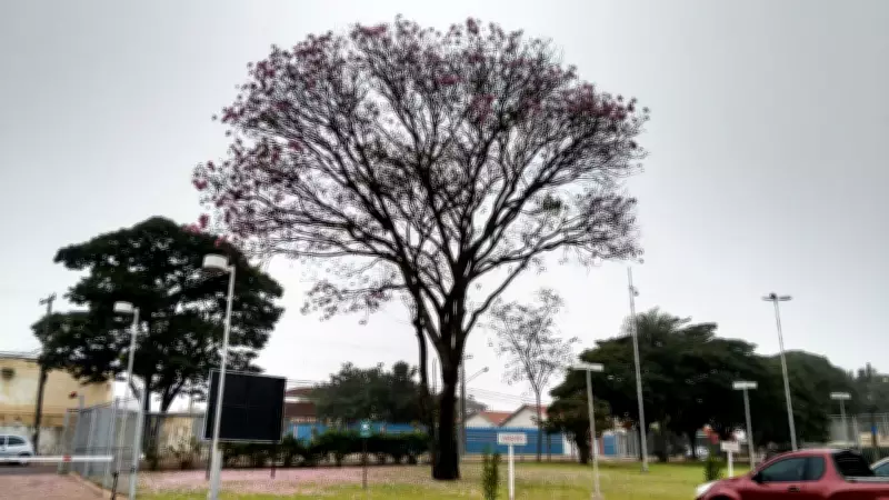 Frente fria chega a MS com chuva forte e derruba temperaturas após calor intenso