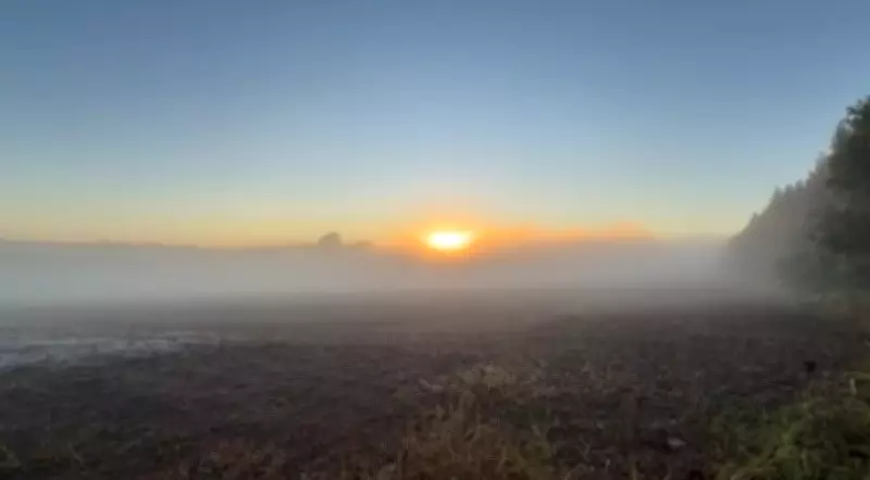 Frio e chuva no Sul; calor predomina no Sudeste e Centro-Oeste
