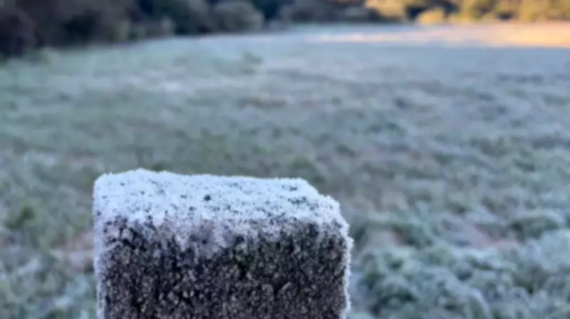 Frio mais intenso do ano chega ao Rio Grande do Sul nesta terça-feira (28)