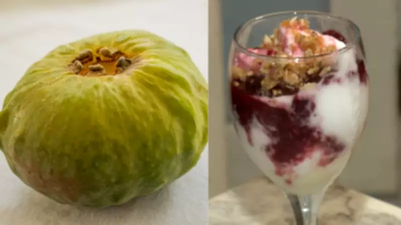 Gabiroba gigante: fruta rara da Mata Atlântica que só existe no ES vira sorvete premiado