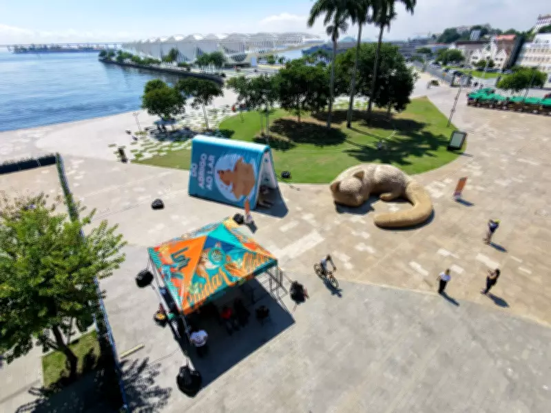 Gato Gigante e Livro Inflável Encantam Praça Mauá no Rio até 12 de Abril