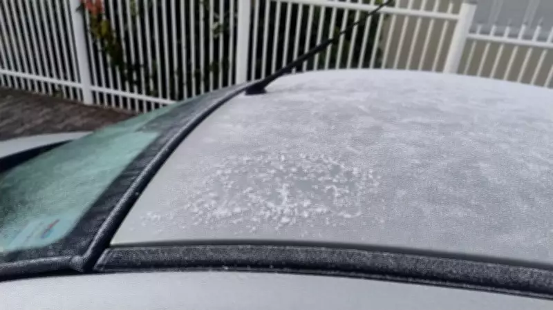 Geada cobre carros em amanhecer congelante no Rio Grande do Sul