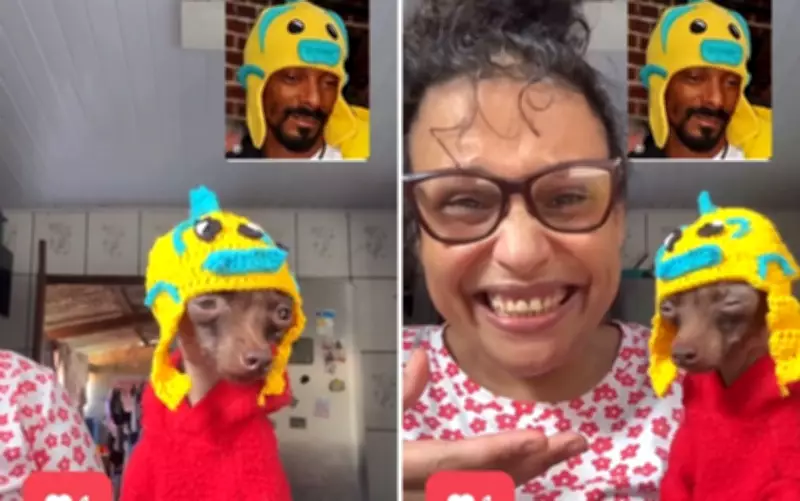 Goiana viraliza após Snoop Dogg compartilhar pinscher vestido como o rapper