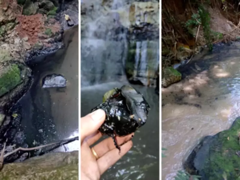 Goodyear é multada em R$ 115 mil por descarte irregular de óleo em córrego de Americana