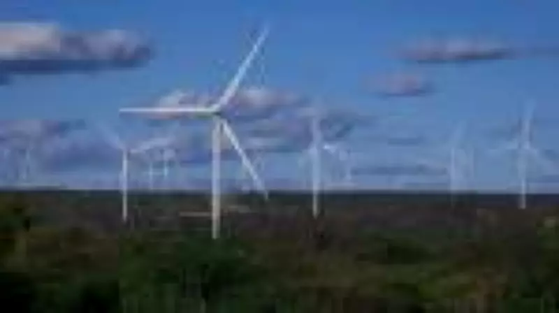 Governo lança plano de transição energética com meta de 81% renováveis até 2050