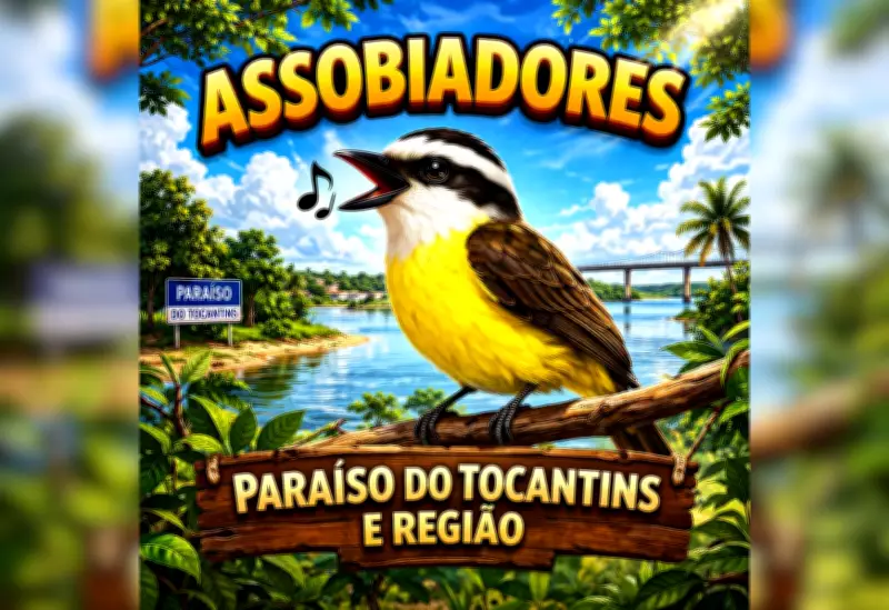 Grupo de assobio no WhatsApp viraliza em cidade do Tocantins