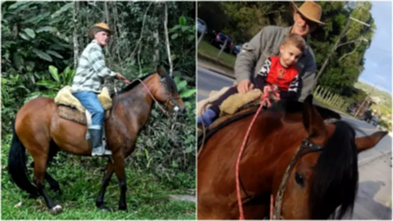 Égua relincha e emociona familiares durante velório do dono em Blumenau