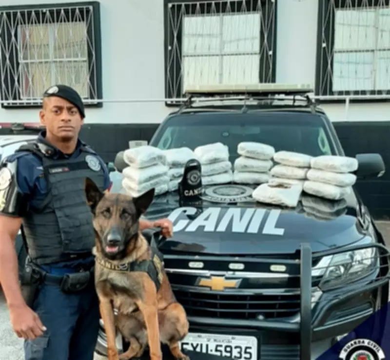 Guarda municipal preso em SP por ligação com facções e venda de armas