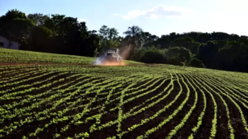Guerra no Irã ameaça fertilizantes e pode elevar preço de alimentos no Brasil