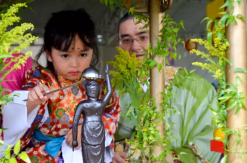 Hana Matsuri celebra 20 anos em São José dos Pinhais com flores e cultura japonesa