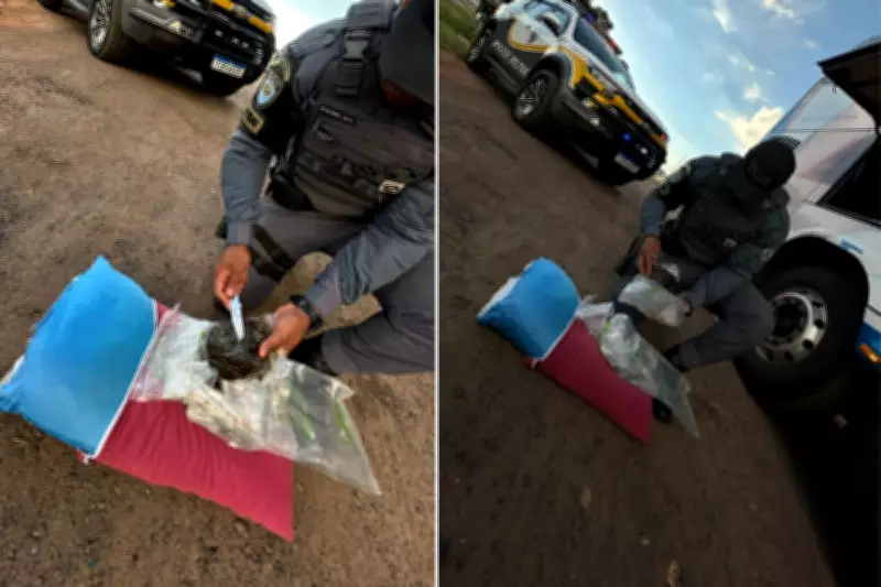 Haxixe escondido em travesseiro e corpete: dois presos por tráfico em ônibus na SP-270