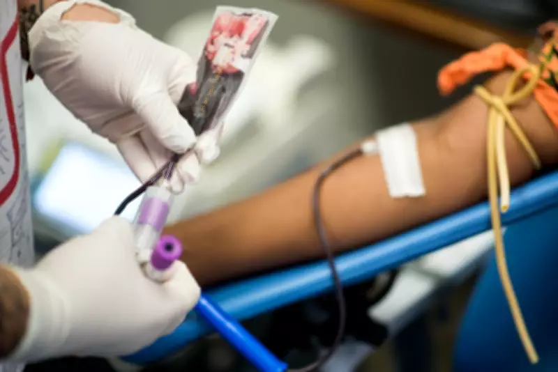 Hemonúcleo de Barra Mansa alerta para estoques baixos de sangue e reforça necessidade de doações