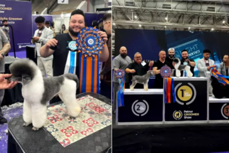 Higor Soto vence categoria Poodle Profissional na Petnor 2025 em Santos