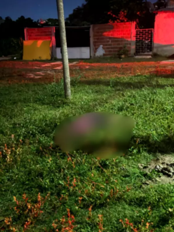 Homem de 41 anos é assassinado a tiros e corpo encontrado em matagal em Marliéria