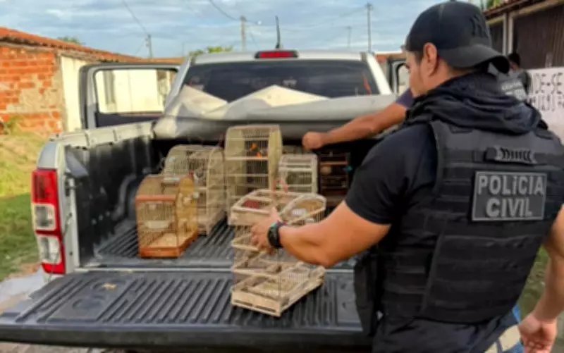 Homem detido suspeito de manter pássaros em maus-tratos em Santa Bárbara, BA
