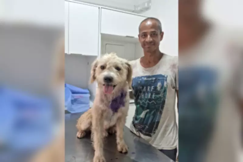 Homem em situação de rua pede ajuda para cão doente em Itapetininga e animal recebe tratamento