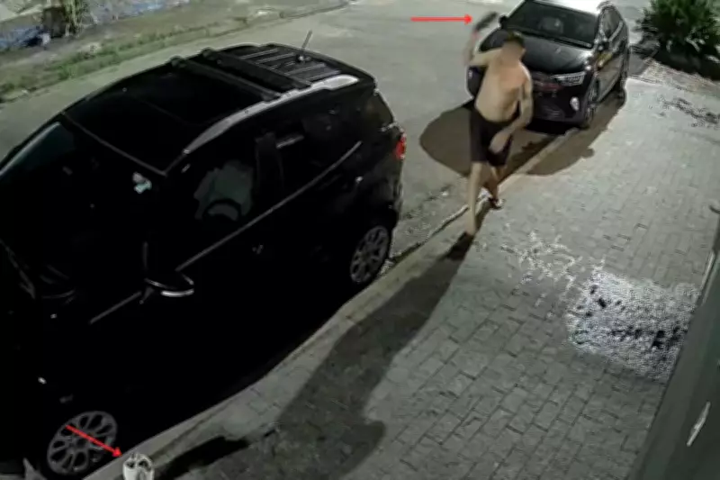 Homem é flagrado agredindo gato com chinelo e ameaçando vizinho em Guarujá, SP